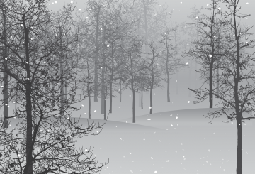 Snow scene in woods - snow forecast Overnight