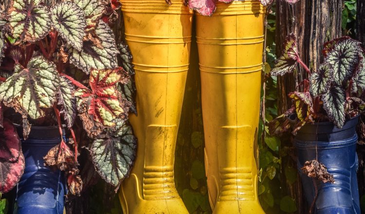 Upcycling some old wellies painted yellpw amd blue